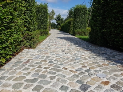 Boerenkassei in bogen