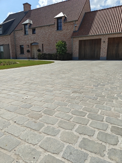 Gezaagde langwerpige porfier