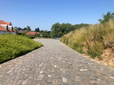 Boerenkassei/Hoevekassei in wildverband